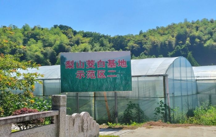 图片7.jpg